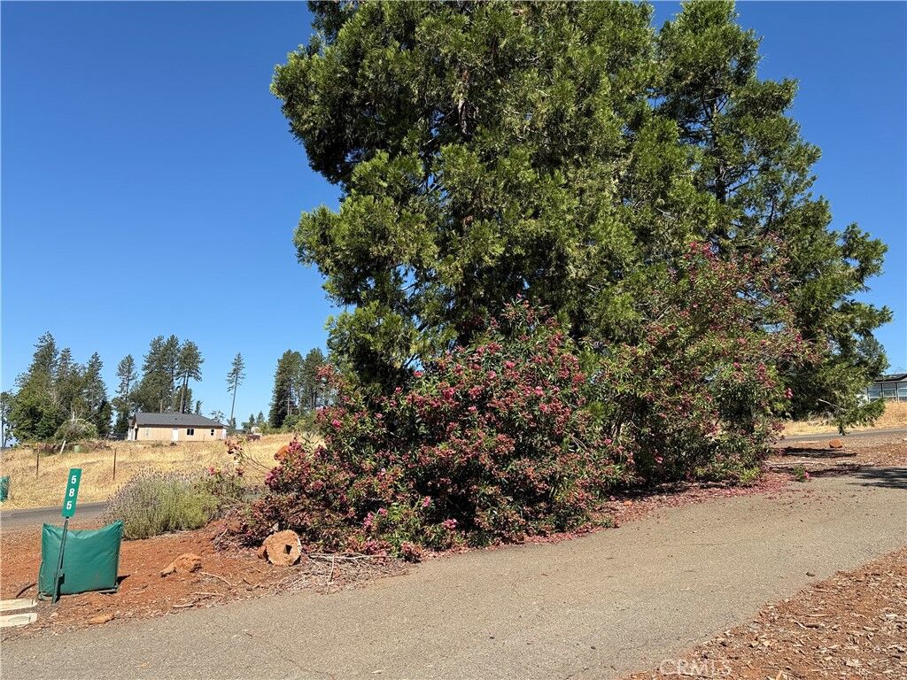 Property Photo:  585 Sunset Drive  CA 95969 