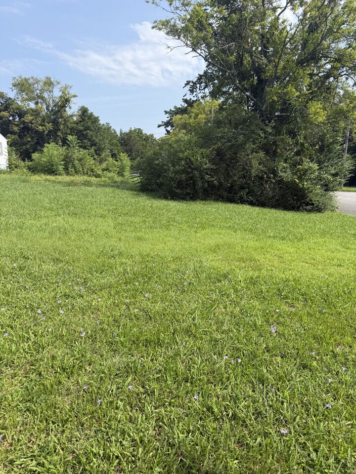 Property Photo: 0 Morton St TN 37160