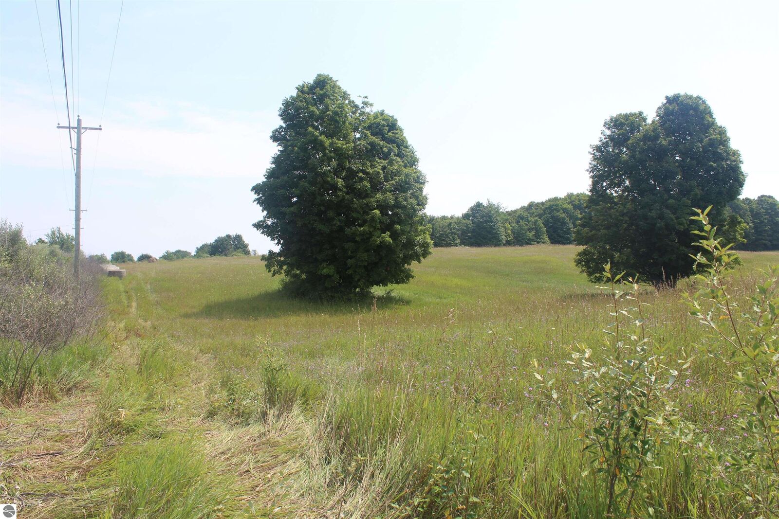 Property Photo: 0 Barnes Road MI 49648