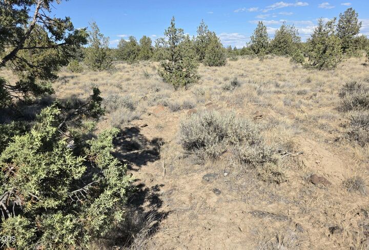 Property Photo:  SE Cayuse Road  OR 97754 