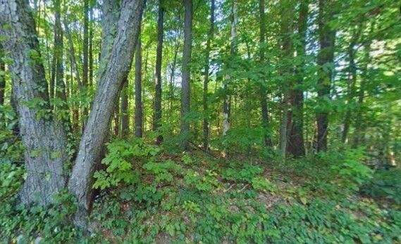 Property Photo:  125 Kilburn St.  MA 01462 