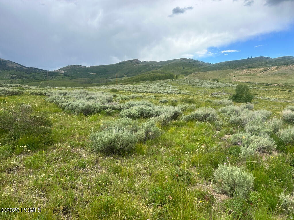 Property Photo:  5465 Lone Hill Drive 1 &Amp 2  UT 84049 