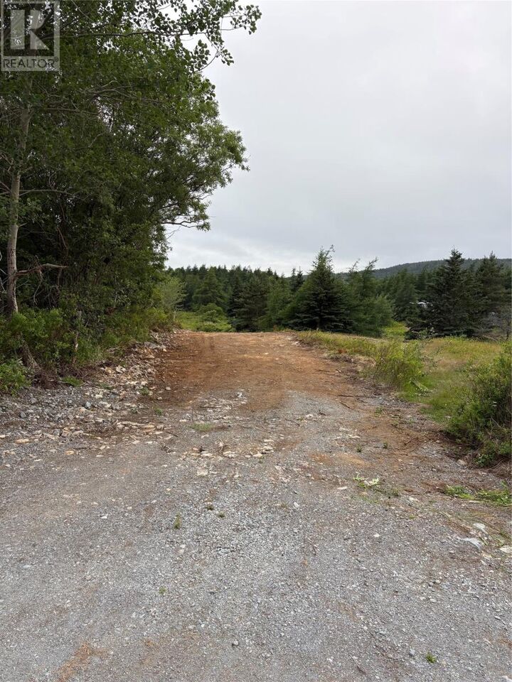 Property Photo:  0 Sod Lane  NL A0A 1W0 