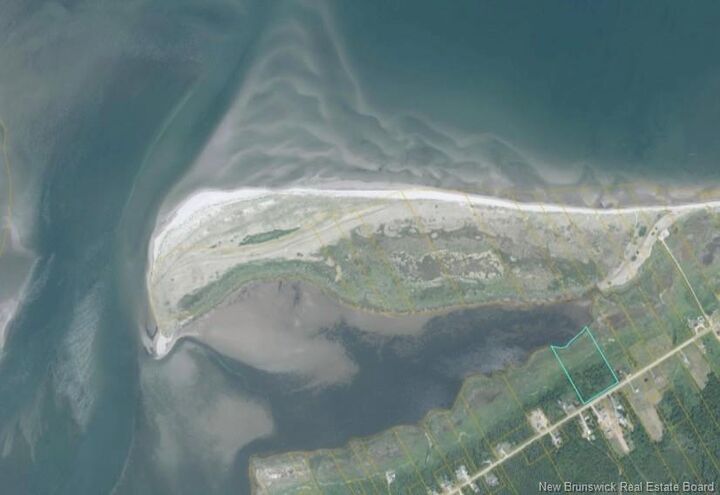 Property Photo:  21.5 Acres Rte 117  NB E9A 1R3 