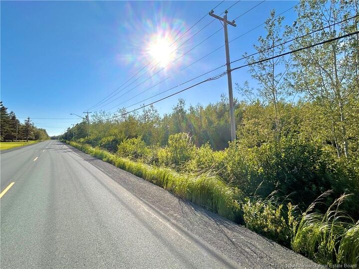 Property Photo:  21.5 Acres Rte 117  NB E9A 1R3 