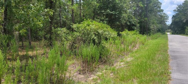 Property Photo:  0 NW Highview Avenue  FL 34431 
