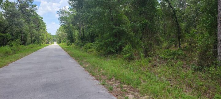 Property Photo: 0 NW Highview Avenue FL 34431