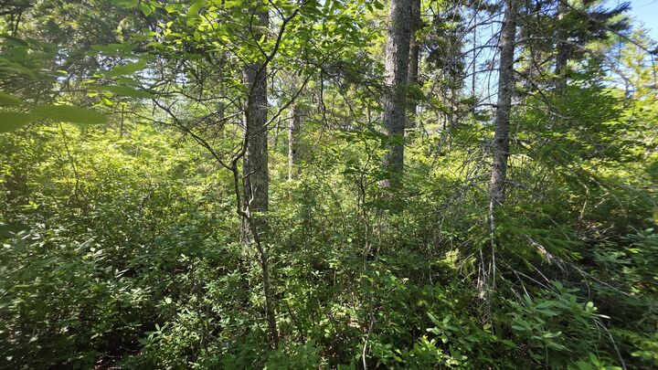 Property Photo: Map 1 Lot 10-2 Patten Rd ME 04648
