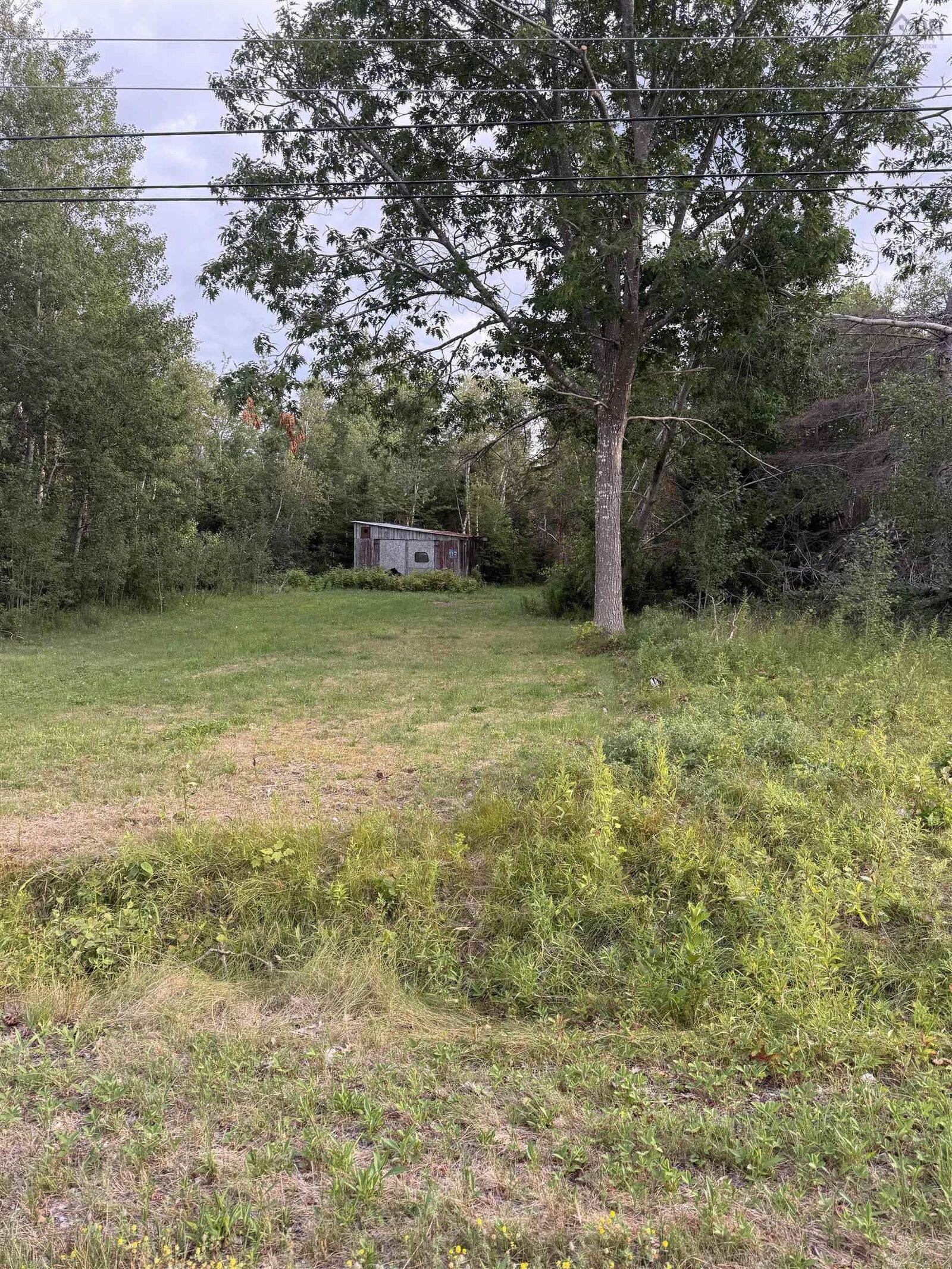 Property Photo:  110 Loop Of Highway 6 Loop  NS B0K 1V0 