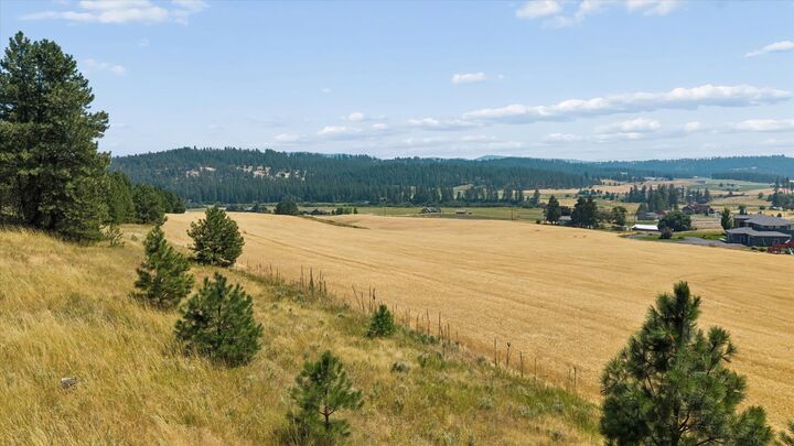 Property Photo:  104xx E Mt Spokane Park Dr  WA 99021 