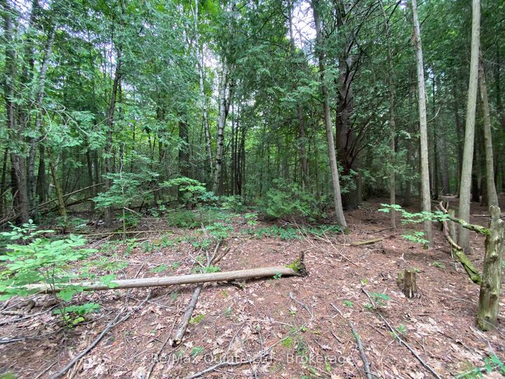 Property Photo:  0 County Rd 30 N/A  ON K0K 1H0 