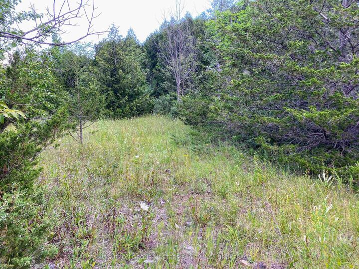 Property Photo:  0 Colebrook Road  ON K0K 3N0 