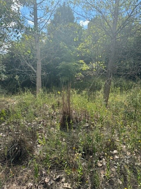 Property Photo:  Lots 1338 And 1339 Tahitian Drive  TX 78602 