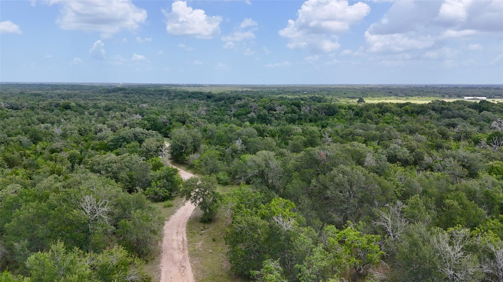 Property Photo:  Tbd Cr 420  TX 78959 