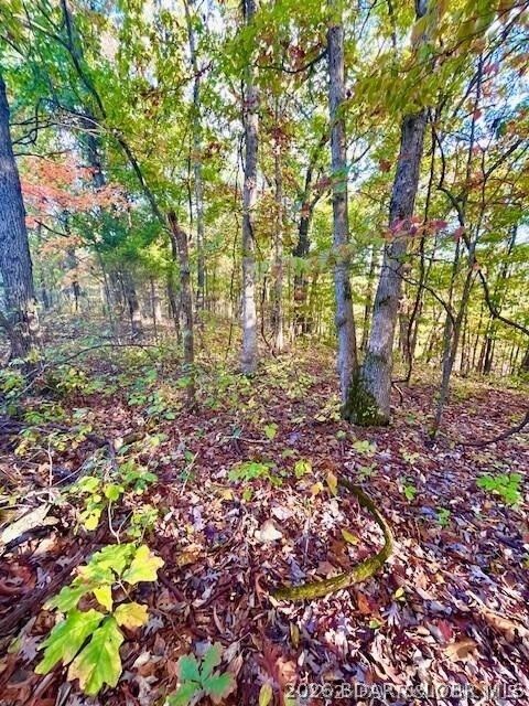 Property Photo: Lot#4 Lakewood Lane MO 65011