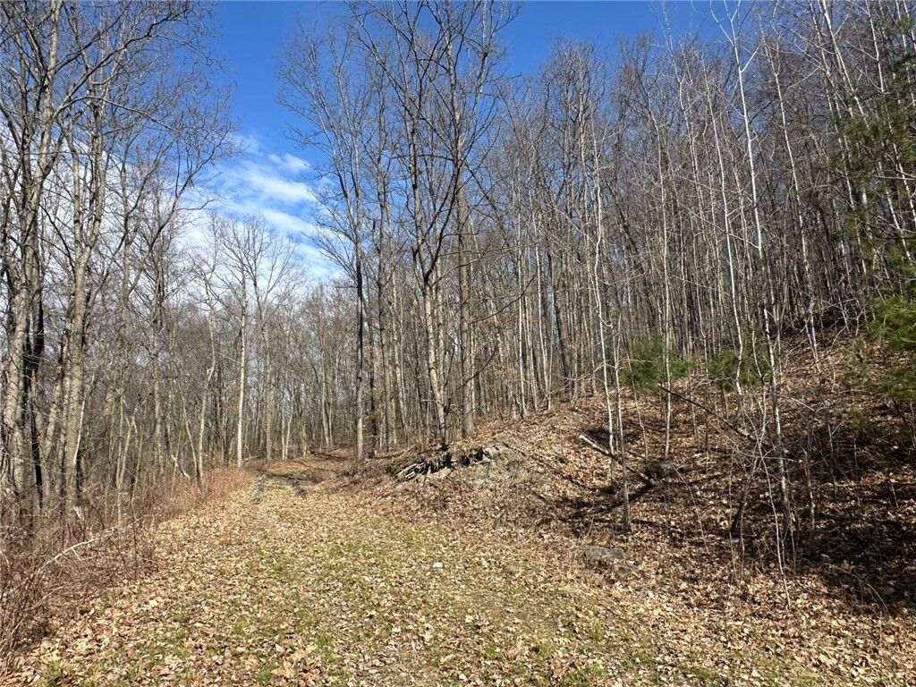 Property Photo: 0 O Brien Road N NY 14879