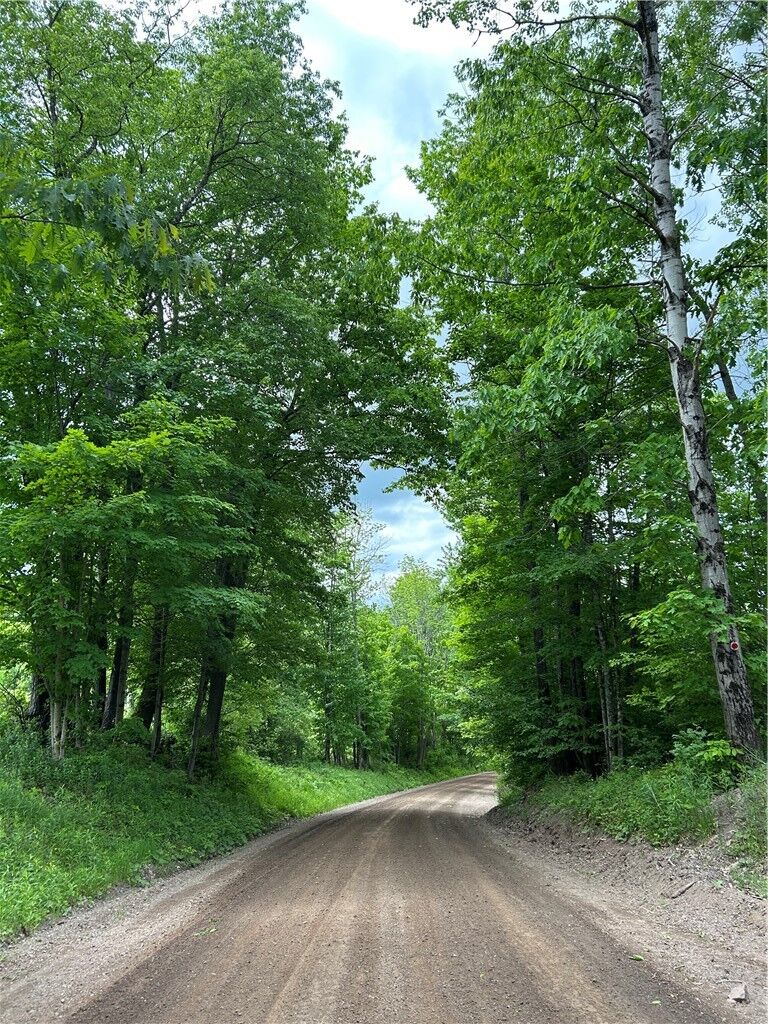 Property Photo:  Lot 13 Grange Hall Road  NY 13820 