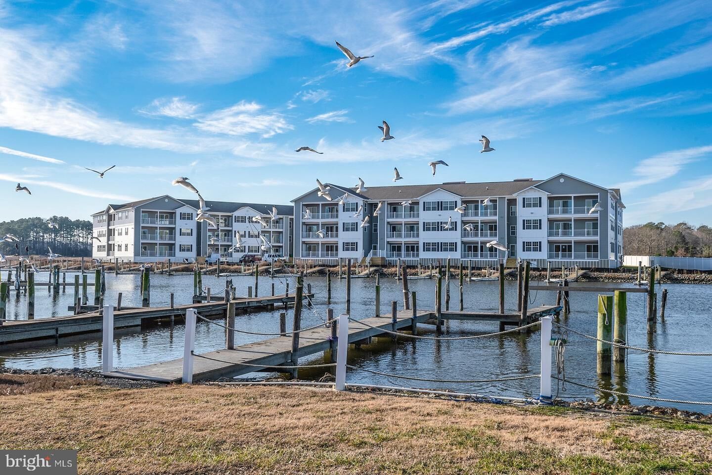 Property Photo:  33725 Skiff Alley  DE 19958 