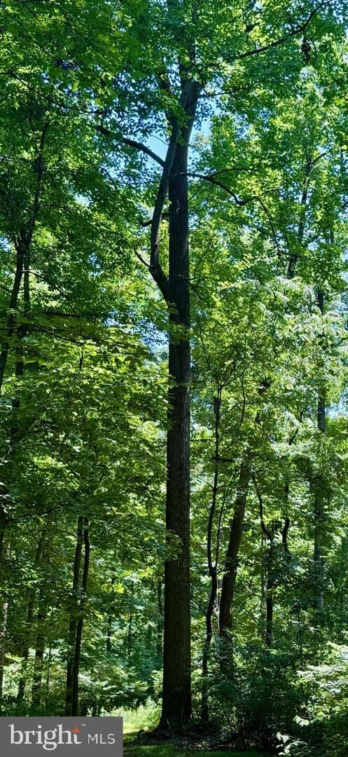 Property Photo:  Carlisle Pike Land Known As Parcel Number 23I04-0126---000  PA 17372 