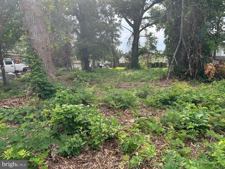 Property Photo: 7814 Belvedere Drive VA 22306