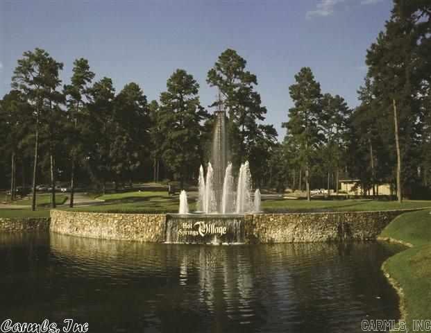 Property Photo:  44 Ferdinand Way  AR 71909 
