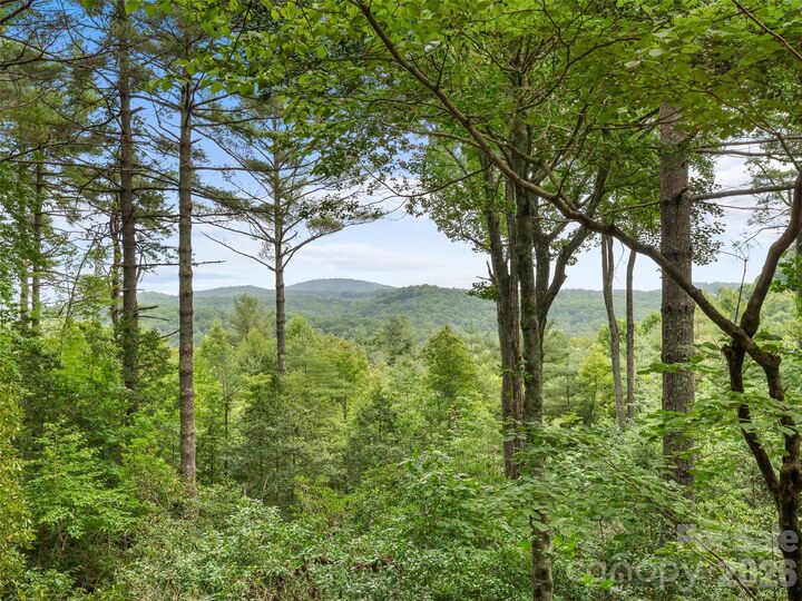 Property Photo:  32 Uloque Court  NC 28712 