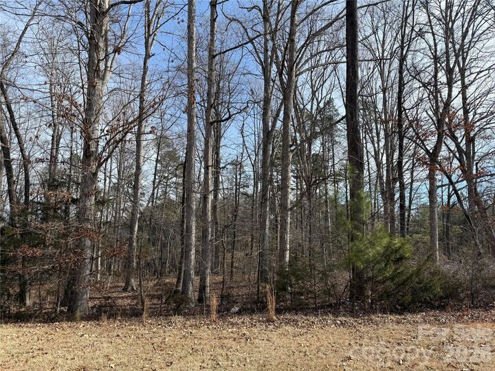 Property Photo: 868 Bellegray Road SC 29710