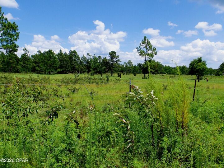 Property Photo: 410 Foxchase Drive FL 32465