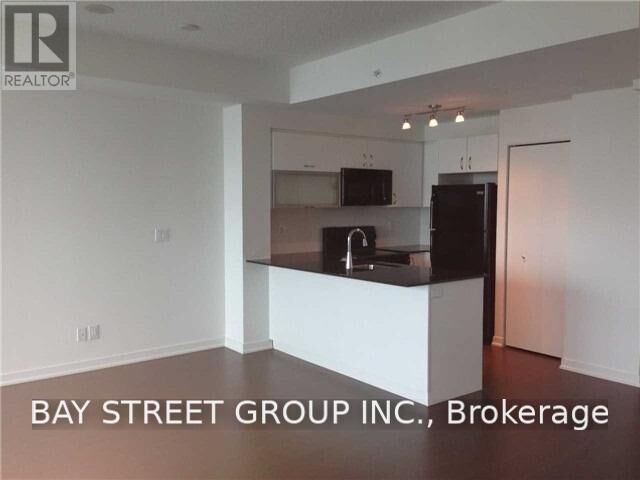 Property Photo:  150 East Liberty Street 511  ON M6K 3R5 