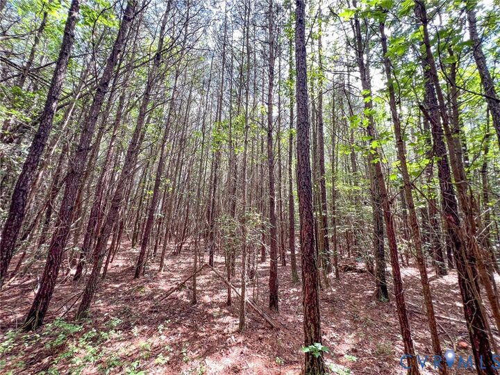 Property Photo:  25.5 Acres Ladysmith Road  VA 22546 