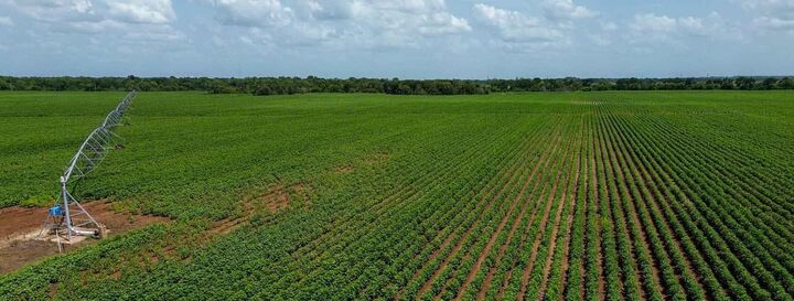 Property Photo: 000 Sims Lane Lane TX 77801