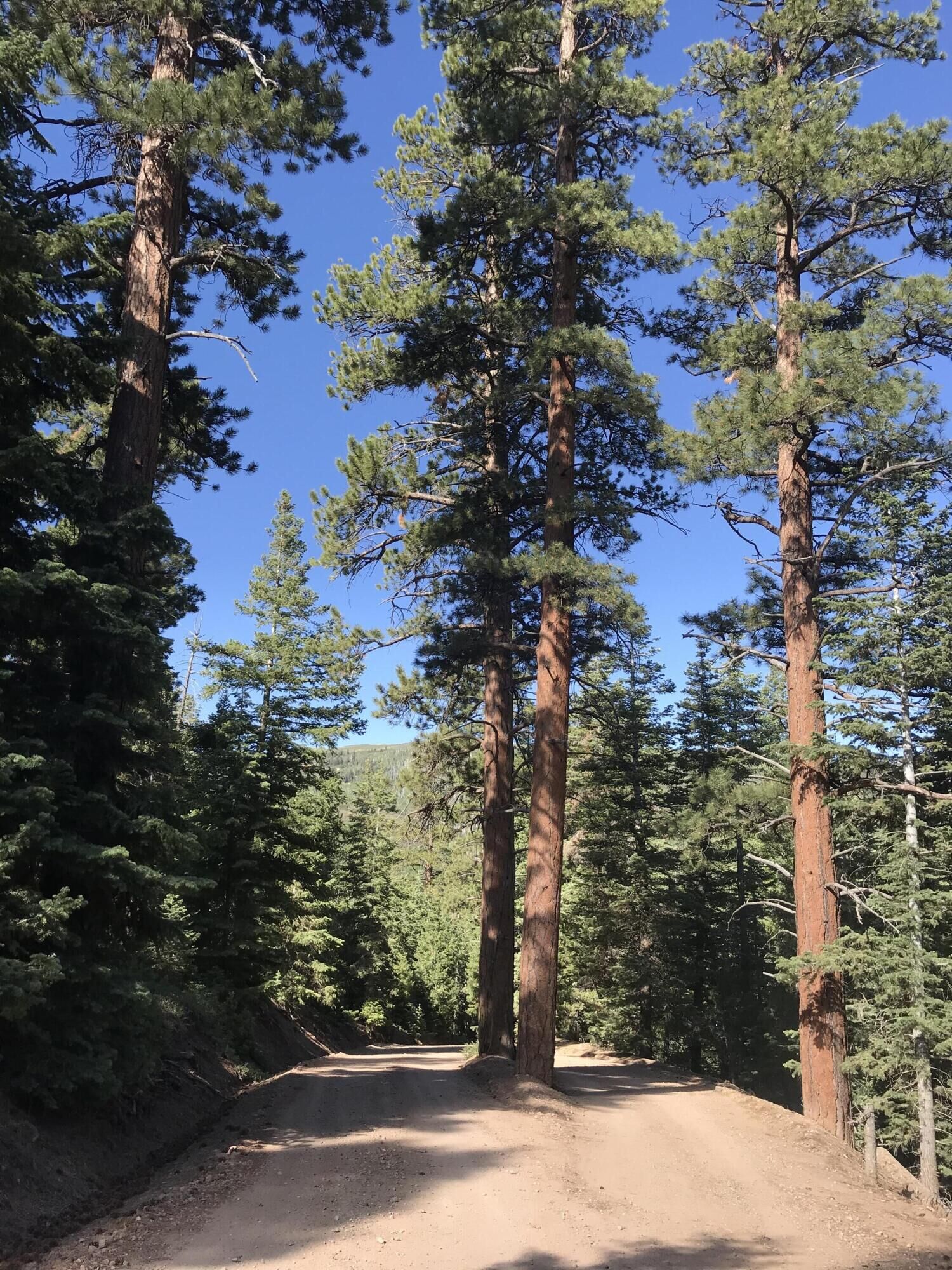 Property Photo:  Lot 129 3200 Subdivision  UT 84772 
