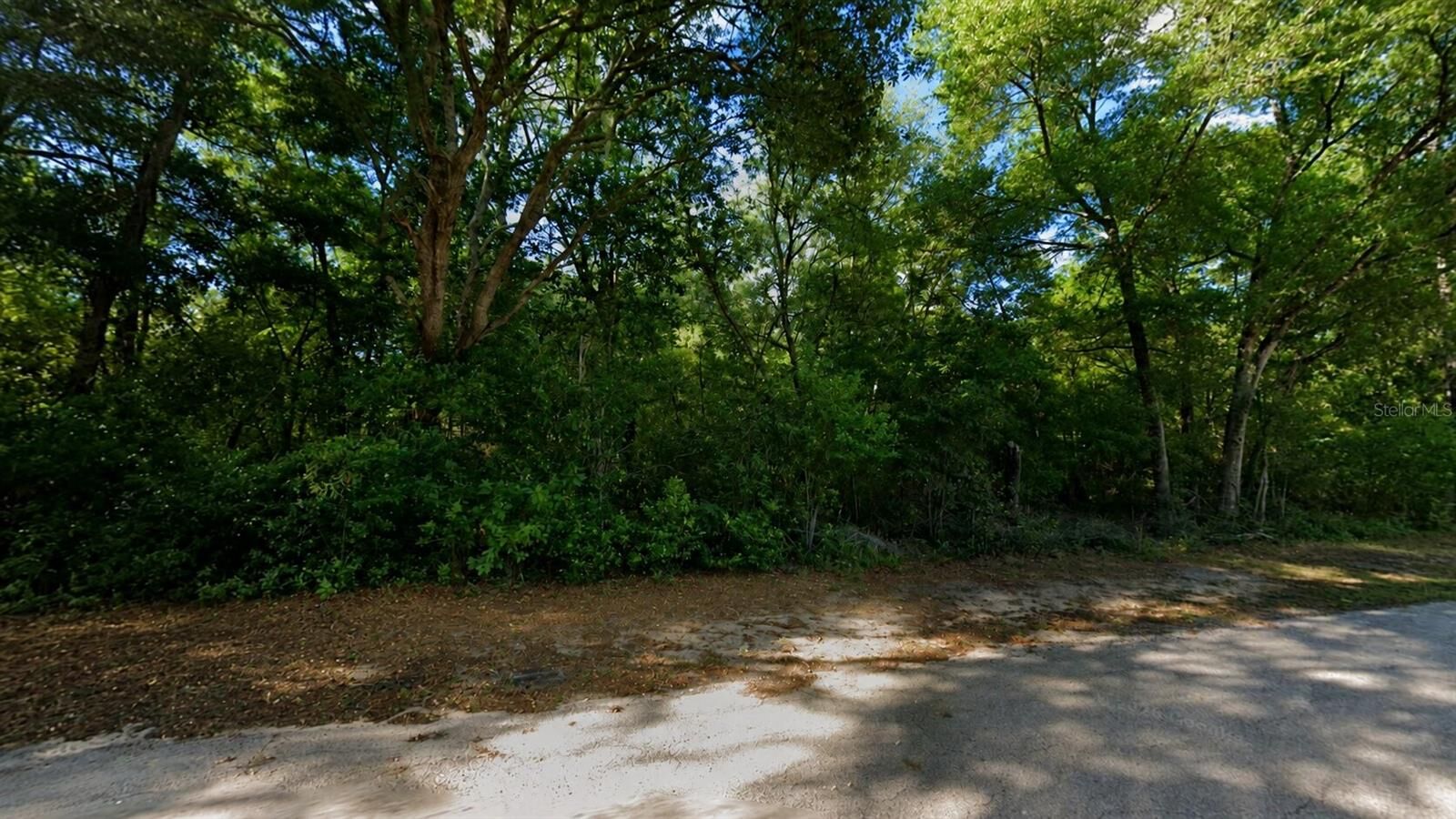 Property Photo: 3133 E Lloyd St FL 34453