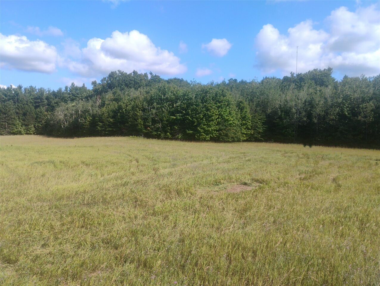 Property Photo:  6383 Lee Road  MI 49727-9562 