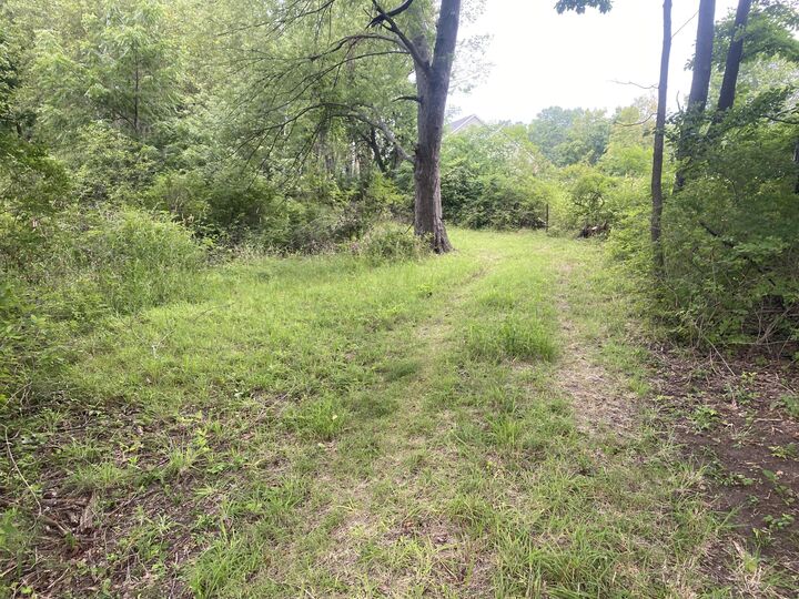 Property Photo: Vl 174th Avenue MI 49456