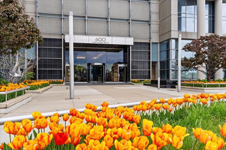 Property Photo:  600 N Lake Shore Drive 1011  IL 60611 