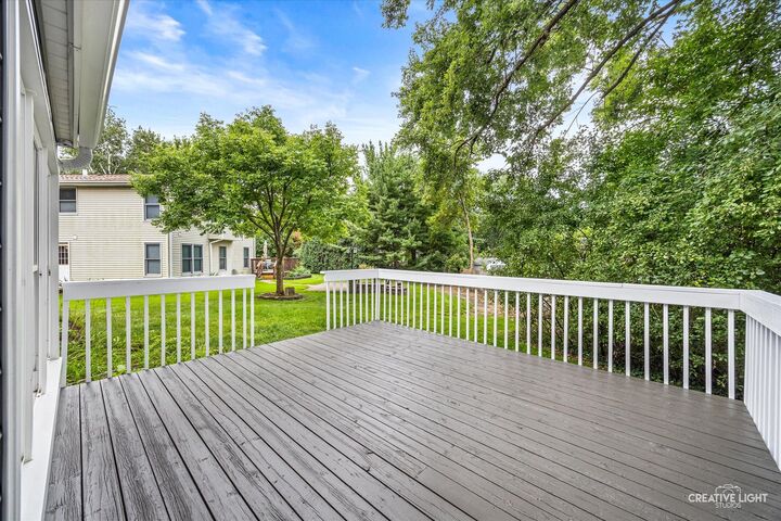 Property Photo:  1333 Briarwood Drive  IL 60540 