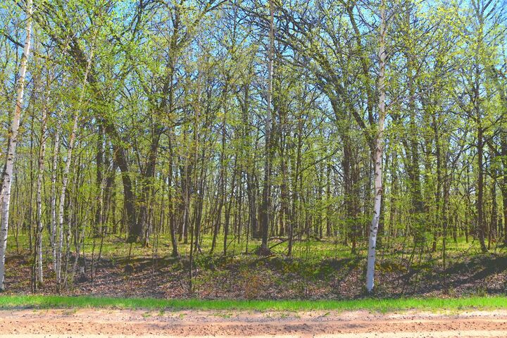 Property Photo: Tbd 392 Street MN 56438