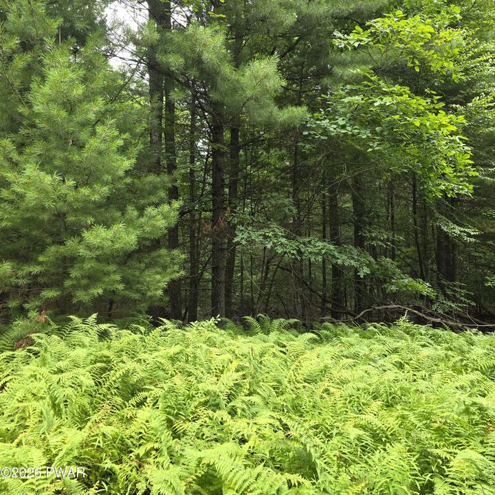 Property Photo: Winfield Lot 4 Winfield Road PA 18457