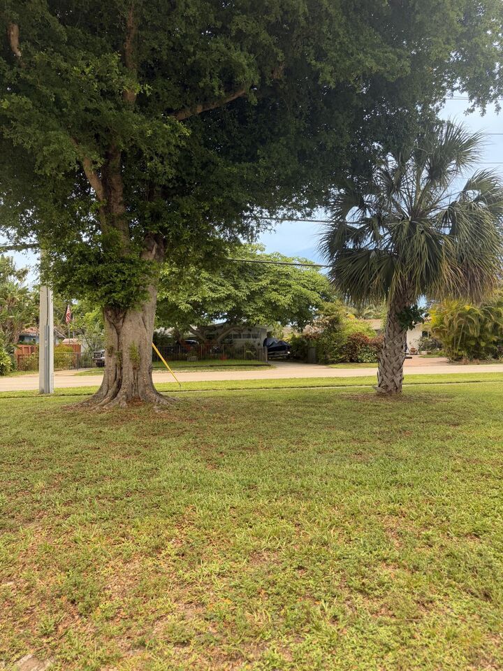 Property Photo: 900 Citrus Isle FL 33315