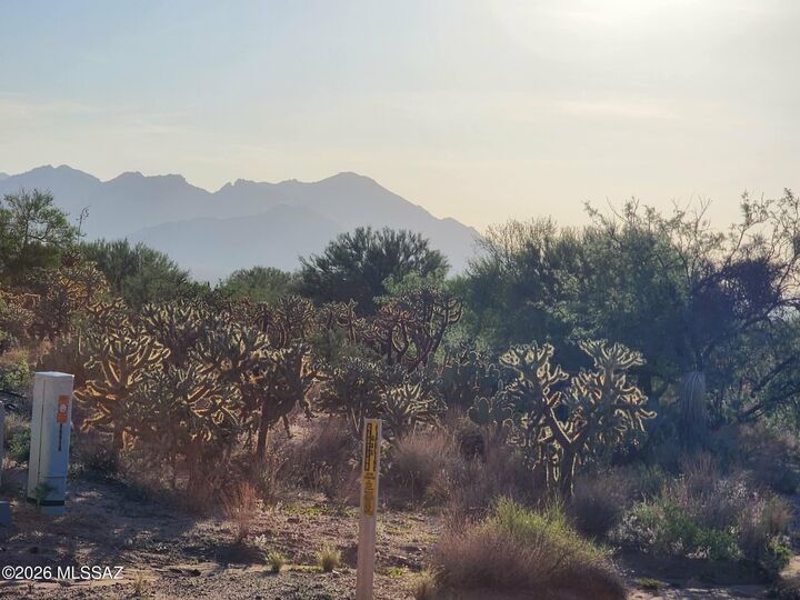Property Photo:  16130 W Prosperi Avenue 91  AZ 85736 