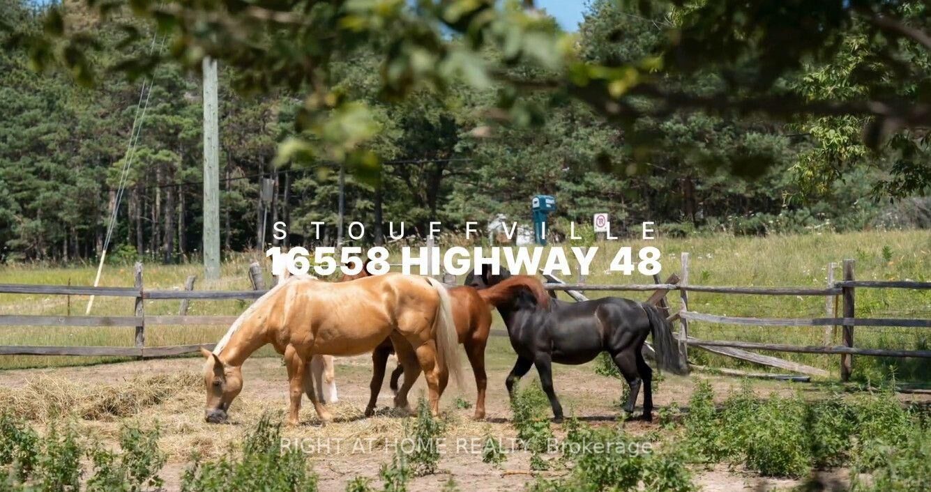 Property Photo: 16558 Highway 48 N/A ON L4A 7X4