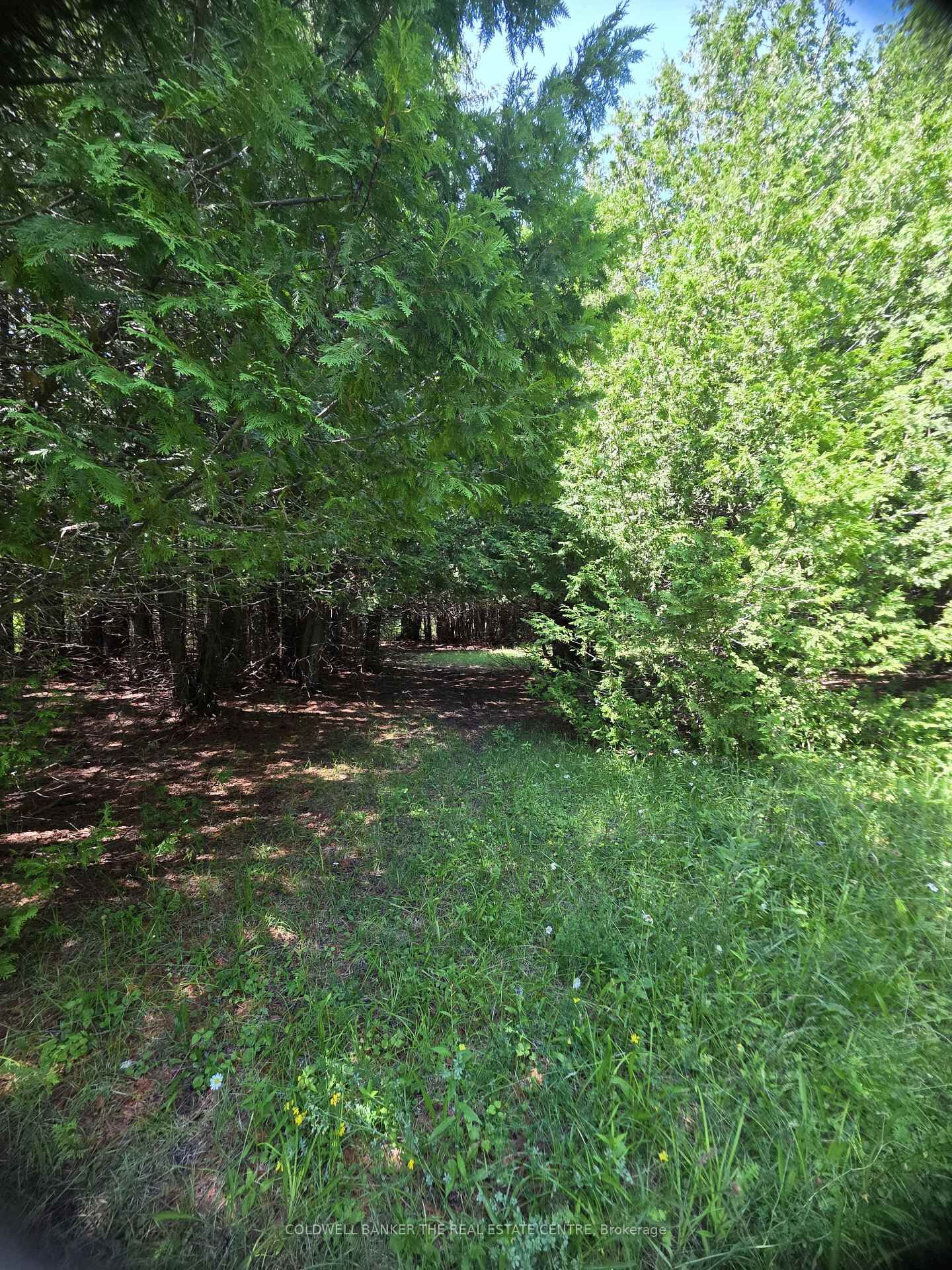 Property Photo:  N/A Government Road W  ON P0P 2C0 