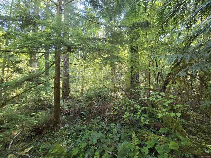 Property Photo:  Lt 3 Canal St  BC V9Y 4S3 