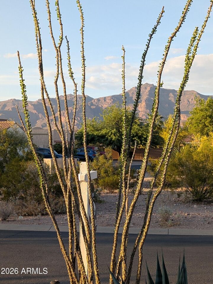 Property Photo:  10691 E Surveyor Court  AZ 85118 