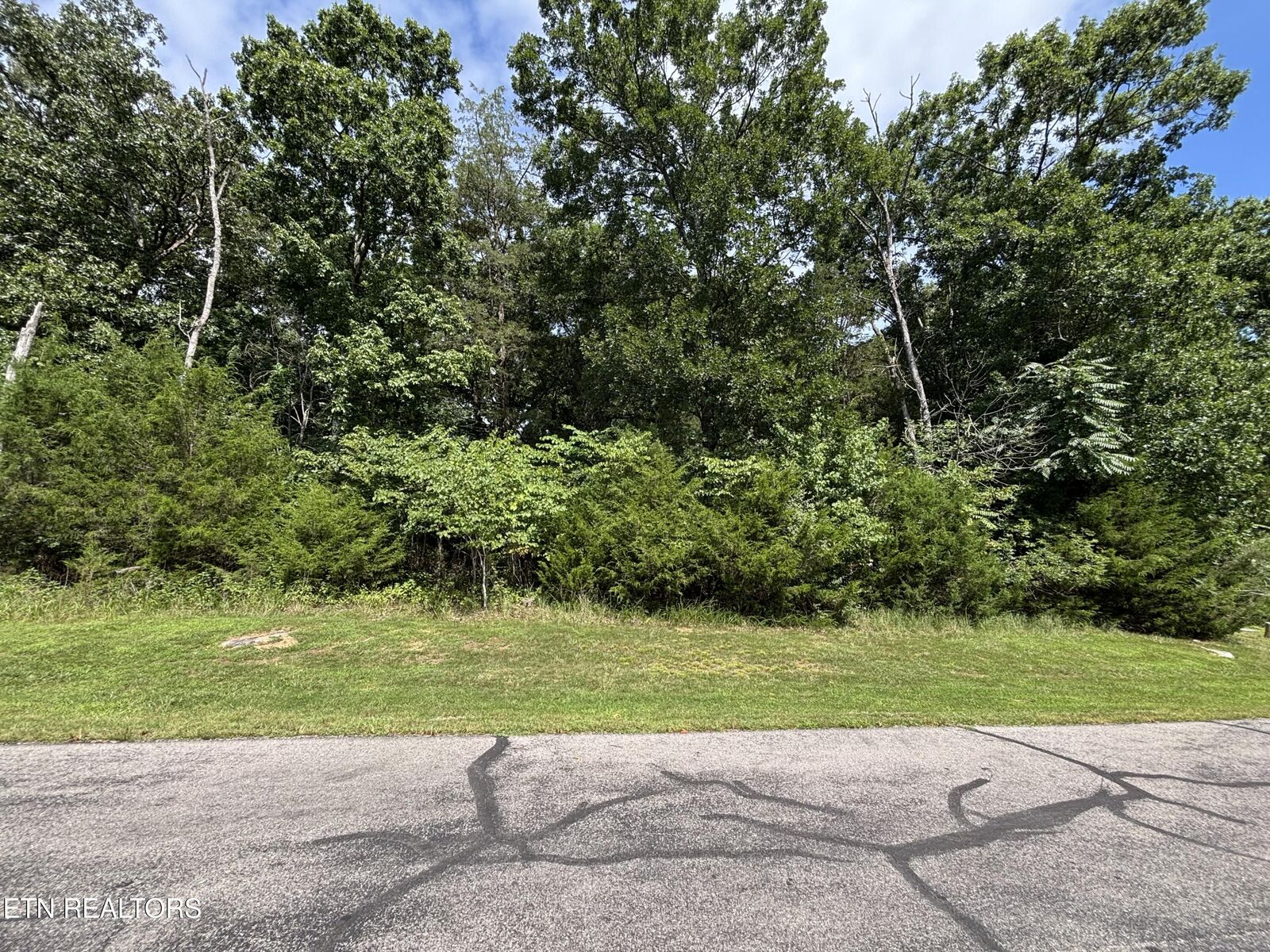 Property Photo:  Bay Shore Drive  TN 37854 