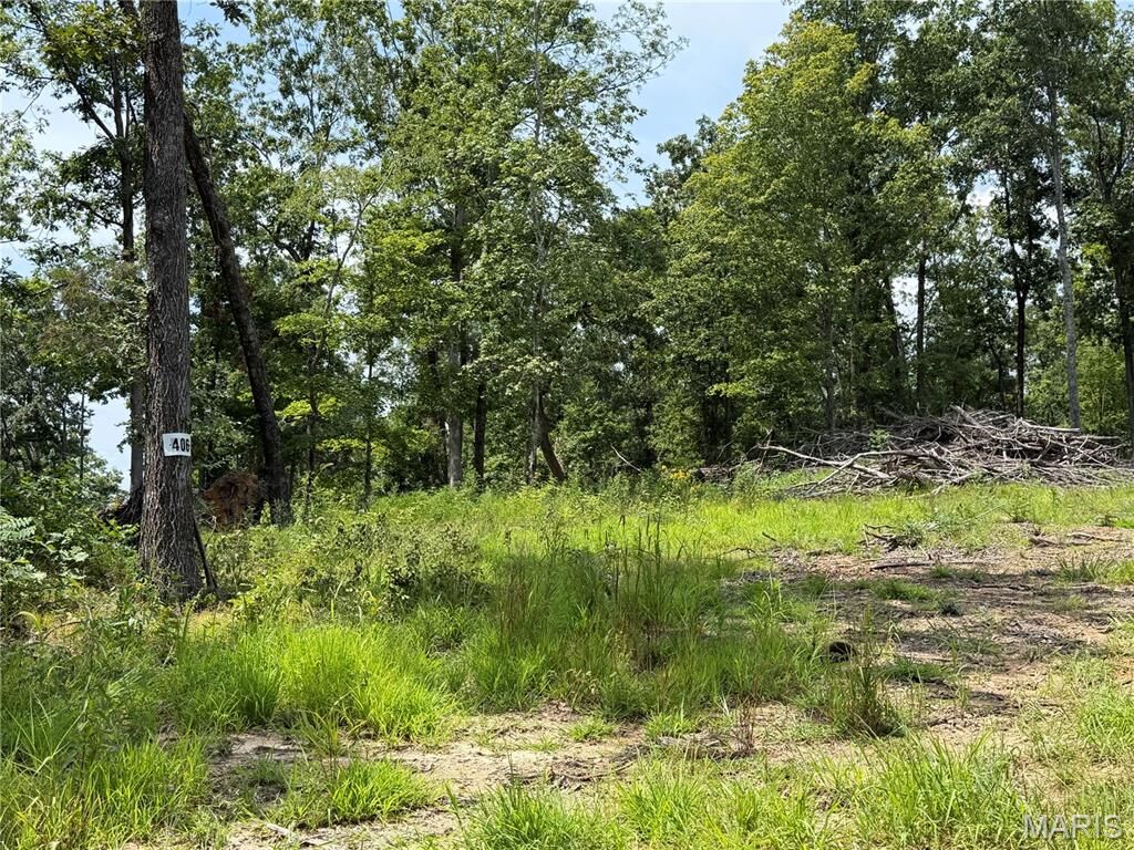 Property Photo:  #406 Madison 410  MO 63645 