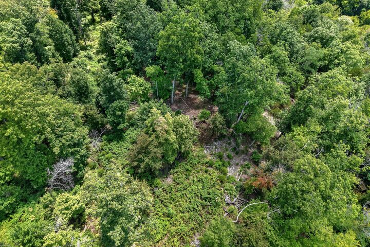 Property Photo:  0 Wilmouth Creek Rd  TN 37095 