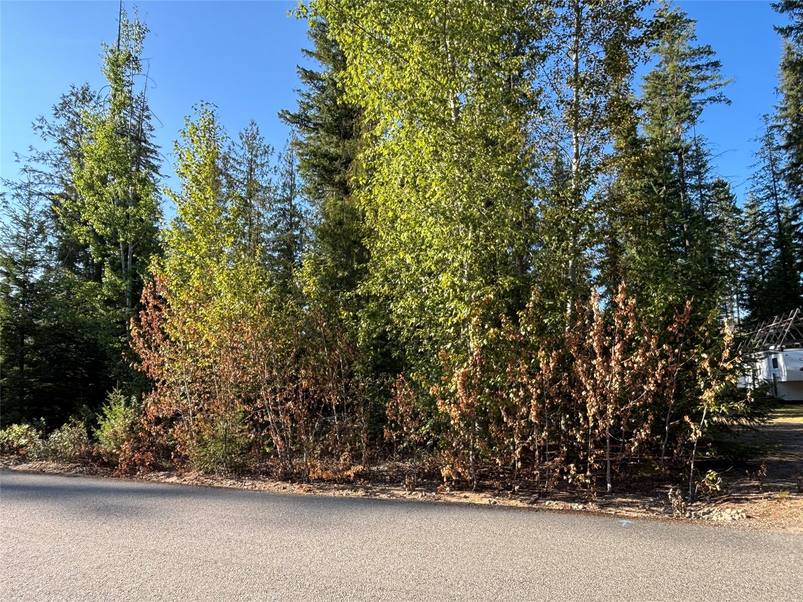 Property Photo: 30 Lusk Lake Road BC V0E 1V5