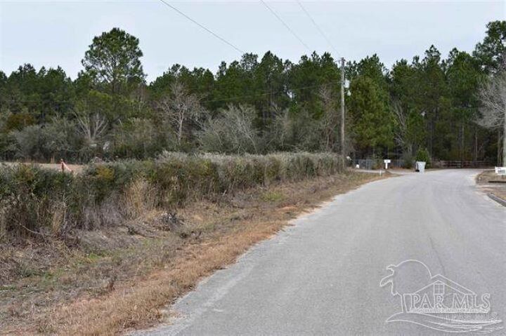 Property Photo:  0003 Pat Brown Rd  FL 32570 